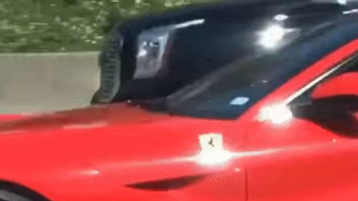 VIDEO: Gevaarlijke fotoshoot op autosnelweg