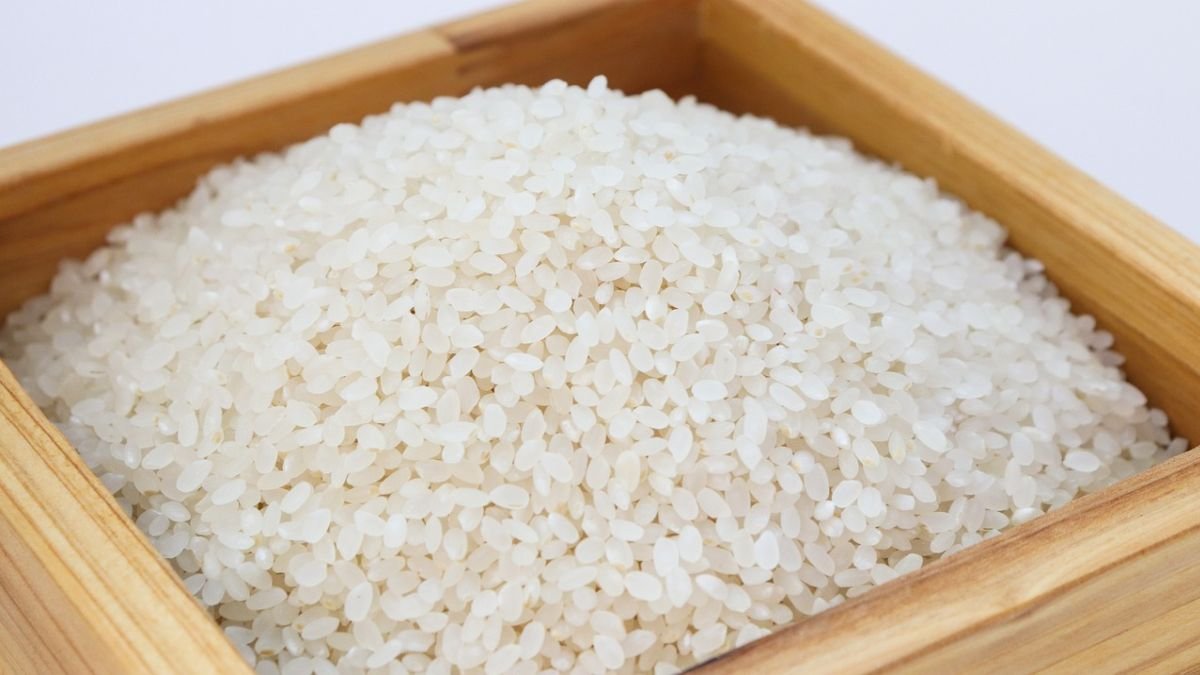 Seat wil auto-onderdelen bouwen van… rijst