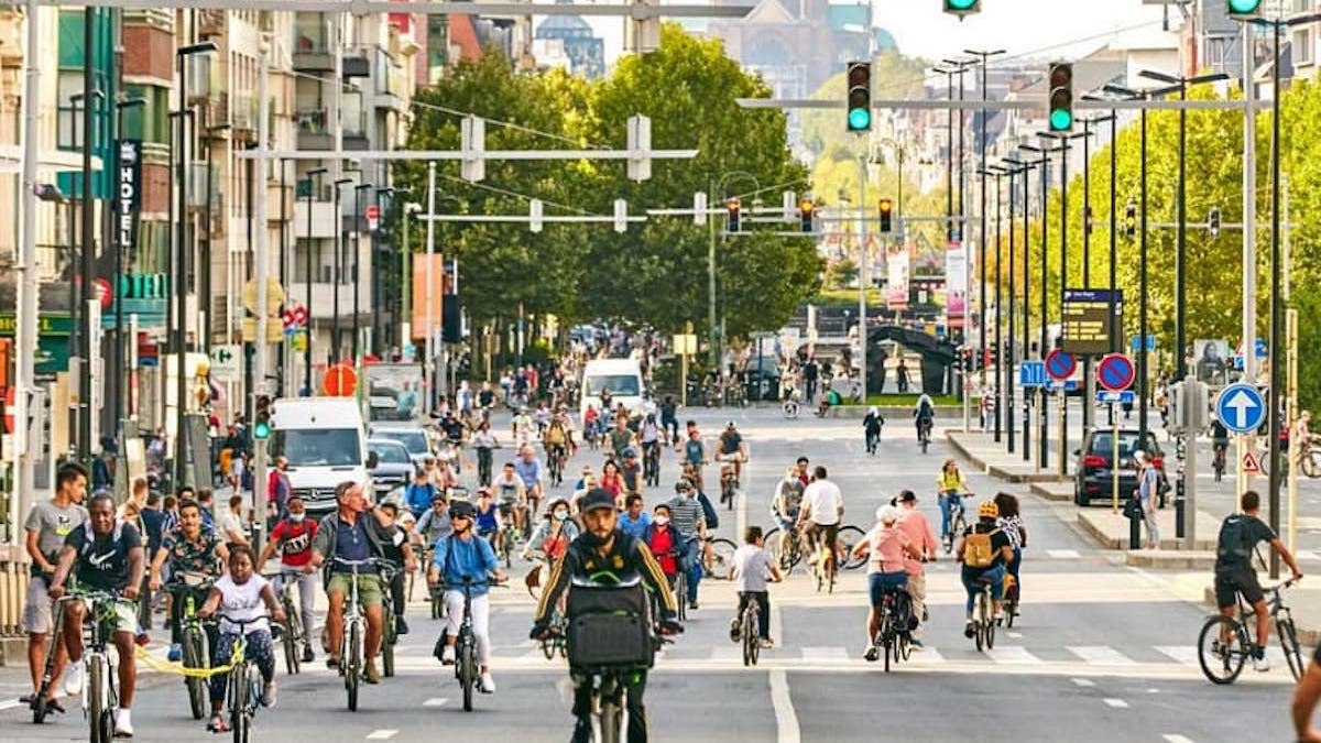 Ecolo-voorzitster neemt taxi op autoloze zondag | Gocar.be