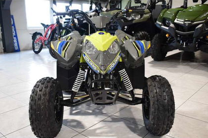 Polaris 110 EFI