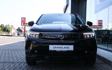 Opel Grandland 1.5D TURBO BUSINESS EDITION AUTOMAAT T8 130PK *MULTIMEDIA *NAVI PRO *DONKER GETINTE RUITEN ACHTER