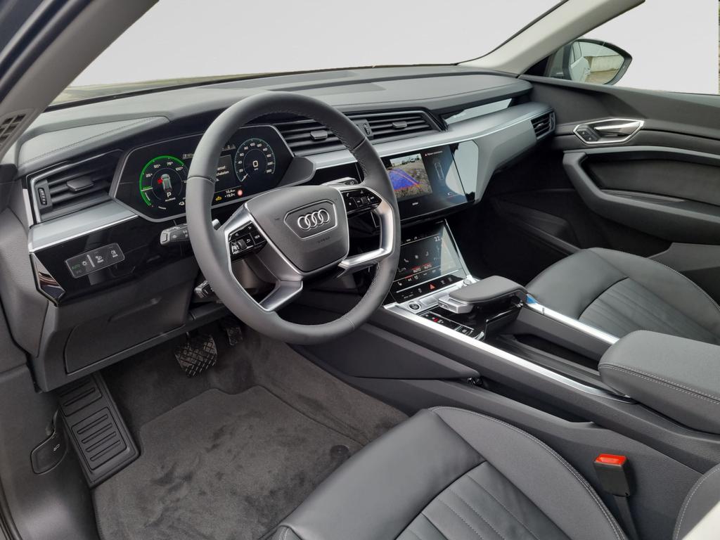 Audi Q8 e-tron Audi Q8  Corporate 50 e-tron quattro 250,00 kW