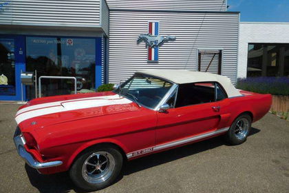 Ford Mustang gt350 tribute