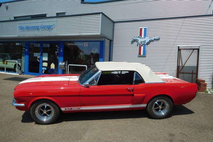 Ford Mustang gt350 tribute