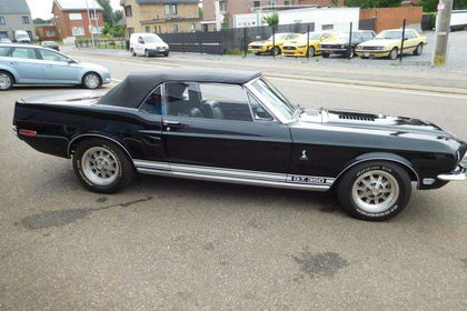 Ford Mustang gt350 tribute