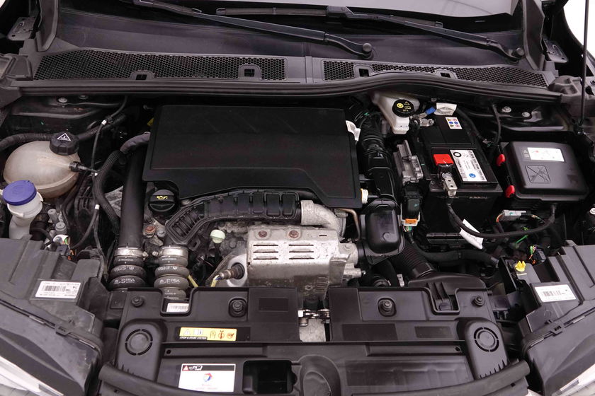 Picture 21