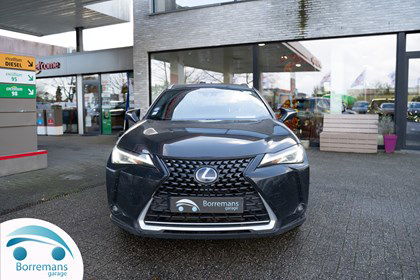 Lexus  LEXUS UX 250H BUSINESS NAVI/BLUETOOTH/....