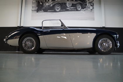 Austin Healey 3000 BN7 (1961)