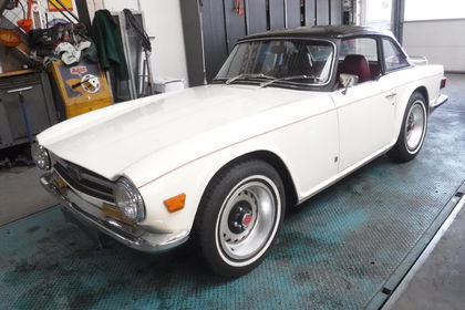 Triumph TR6 white nr 3813 