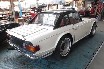 Triumph TR6 white nr 3813 