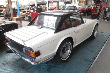 Triumph TR6 white nr 3813 